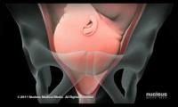 ostetriciaeginecologia en videogallery-department-of-obstetrics 027