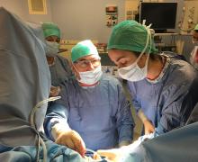 2017/01/13 Some pictures of theoretical and practical course of urogynecology technique of inserting the sling In-Out, which was attended by Drs Raffaella Di RAMIO, Francesca Simoncini and Angela Martoccia