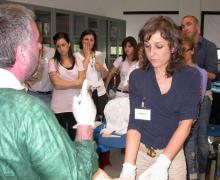 16.05.2009 Alcuni momenti del corso teorico-pratico sulla gestione della distocia di spalla tenuto dal Dott. Antonio Ragusa