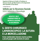 24-25.11.2017 SURGICAL GESTURE: THE LAPAROSCOPIC SUTURE