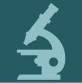 THERMO-ABLATIVE FRACTIONAL CO2 LASERS COMBINED WITH 1540 nm WAVELENGTHS IS A PROMISING TREATMENT OPTION IN STRESS URINARY INCONTINENCE